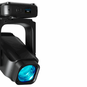 Ayrton Rivale Profile